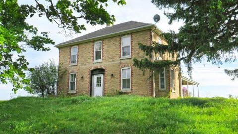 Box of Chocolates - Stone,-Cars,-and-a-Frog43.jpg