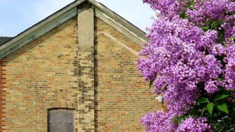 Box of Chocolates - Stone,-Cars,-and-a-Frog44.jpg