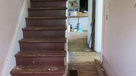 Box of Chocolates - Stone,-Cars,-and-a-Frog19.jpg