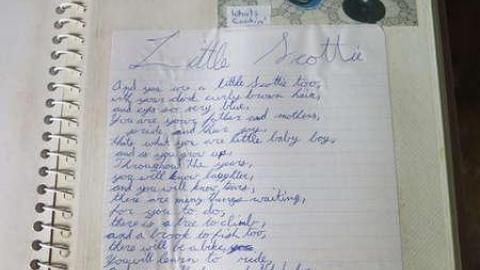 Box of Chocolates - Stone,-Cars,-and-a-Frog21.jpg