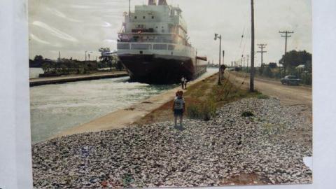 Box of Chocolates - Stone,-Cars,-and-a-Frog46.jpg