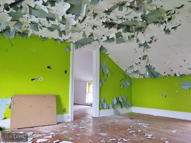 Stone, Cars, and a Frog photo 5