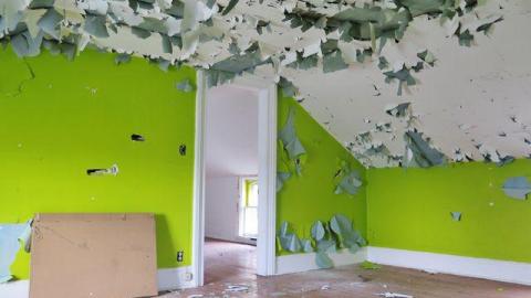 Box of Chocolates - Stone,-Cars,-and-a-Frog49.jpg