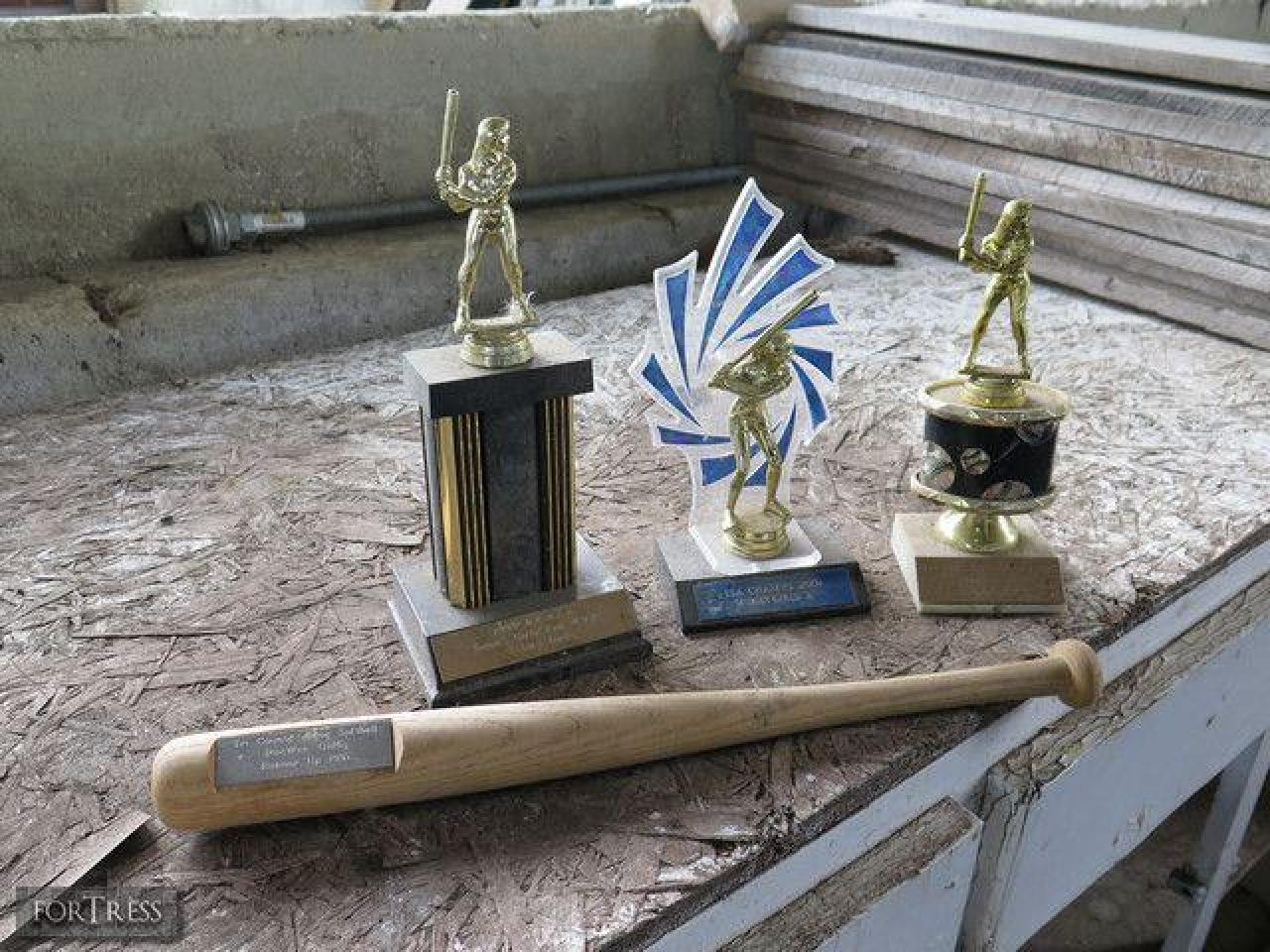 Box of Chocolates - Stone,-Cars,-and-a-Frog25.jpg