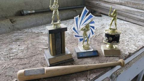 Box of Chocolates - Stone,-Cars,-and-a-Frog25.jpg