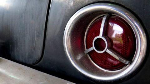 Box of Chocolates - Stone,-Cars,-and-a-Frog28.jpg