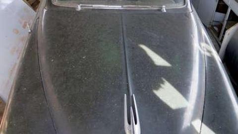 Box of Chocolates - Stone,-Cars,-and-a-Frog29.jpg