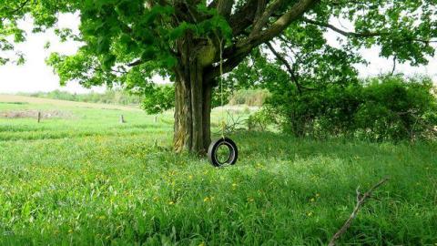 Box of Chocolates - Stone,-Cars,-and-a-Frog30.jpg