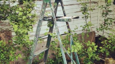 Sandbar St. - Sarnia-Rd-House,-Private-Drive41.jpg