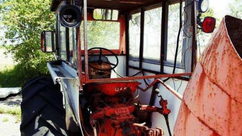 Bright & Sunny - Food-N-Foam78.jpg