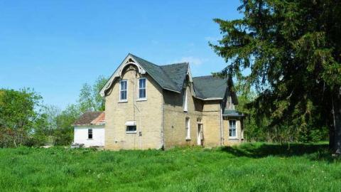 Mary Janes Place - High-Heels--Homegrown16.jpg