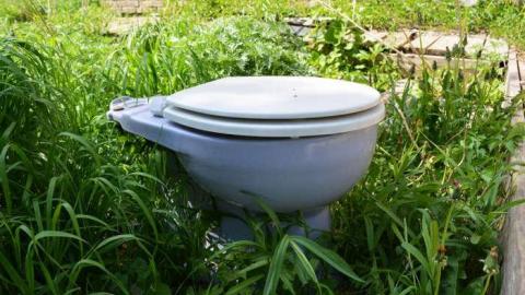 Mary Janes Place - High-Heels--Homegrown1.jpg