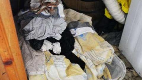 Mary Janes Place - High-Heels--Homegrown6.jpg