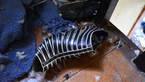 Mary Janes Place - High-Heels--Homegrown24.jpg