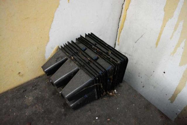 High Heels & Homegrown photo 4