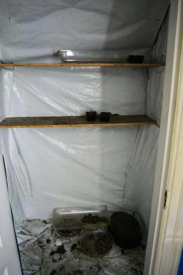 High Heels & Homegrown photo 5