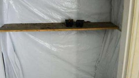 Mary Janes Place - High-Heels--Homegrown27.jpg