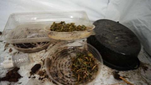 Mary Janes Place - High-Heels--Homegrown12.jpg