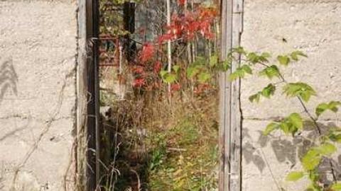 October 2013 - 1385435_10151946785649198_278527605_n.jpg