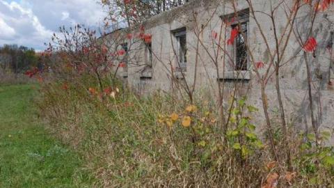 October 2013 - 1397692_10151946785894198_2091632683_o.jpg