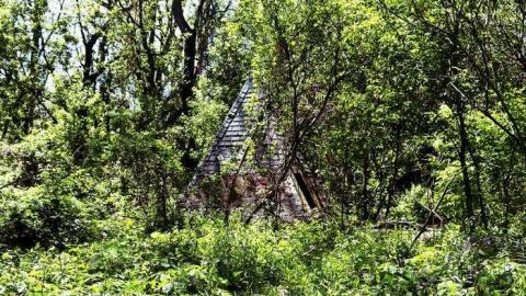 Inside the Chapel - Alma-College--St.-Thomas24.jpg