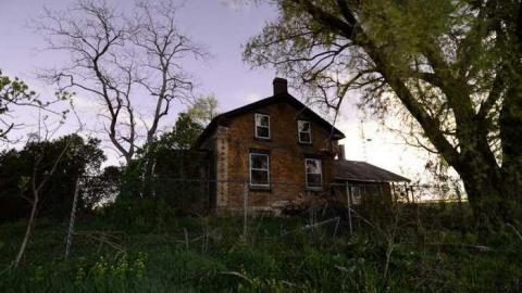 Fuzzy Toilet - DSC_3365.jpg