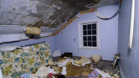 Fuzzy Toilet - DSC_3374.jpg