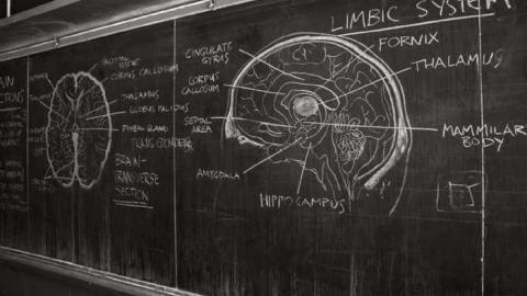 March 2014. - Alderwood-Collegiate-Institute102.jpg