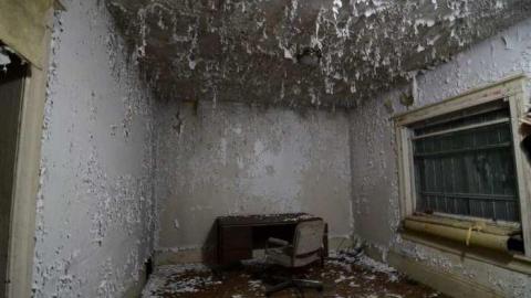 Racecar Bed - DSC_3324.jpg