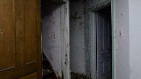 Racecar Bed - DSC_3340.jpg