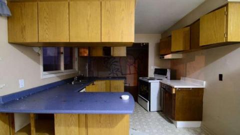 Spiders - Mundane-Milton-Mayhem13.jpg