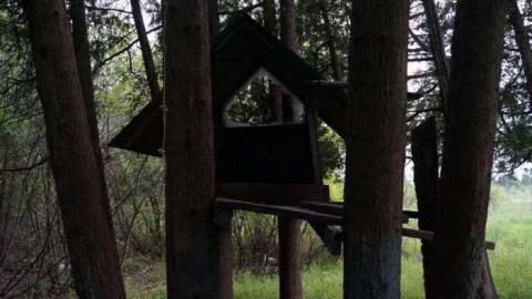 Rideau Home - Rideau-Tree-home12.jpg