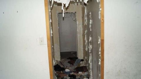 Rideau Home - Rideau-Tree-home3.jpg