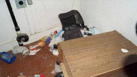 Rideau Home - Rideau-Tree-home23.jpg