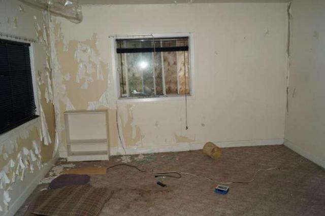 Rideau Tree home photo 4