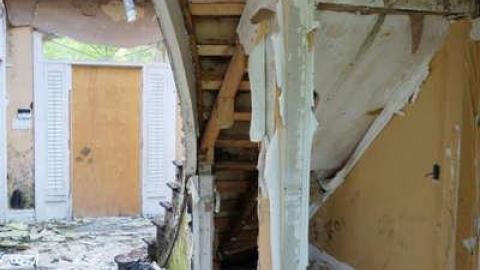 May 2014 - Mold-Mansion6.jpg