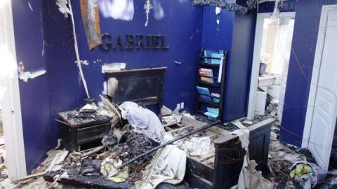 May 2014 - Mold-Mansion7.jpg