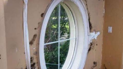 May 2014 - Mold-Mansion8.jpg