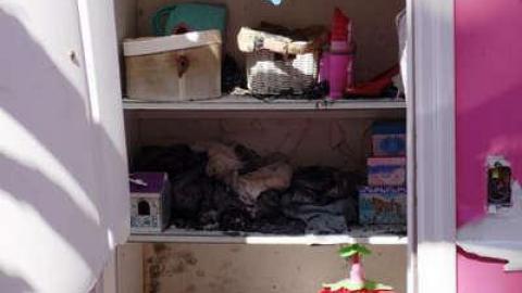 May 2014 - Mold-Mansion9.jpg