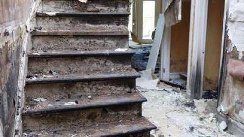 May 2014 - Mold-Mansion10.jpg