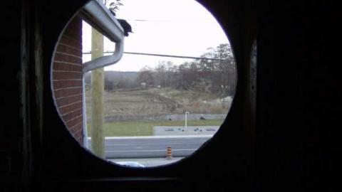 Woodbine - Woodbine-Farmhouse22.jpg