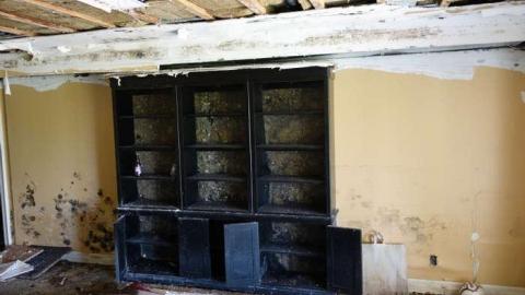 May 2014 - Mold-Mansion22.jpg