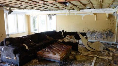 May 2014 - Mold-Mansion23.jpg