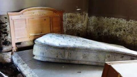 May 2014 - Mold-Mansion24.jpg