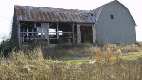 Woodbine - Woodbine-Farmhouse23.jpg