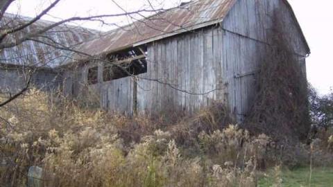 Woodbine - Woodbine-Farmhouse26.jpg