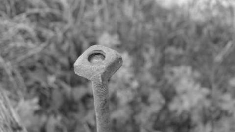 No trains - Coboconk-Station4.jpg