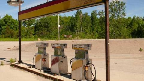 Photo from Shell Shock