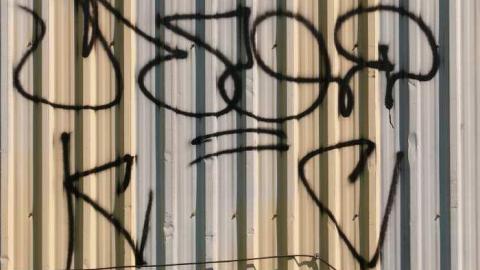 Photo from Shell Shock