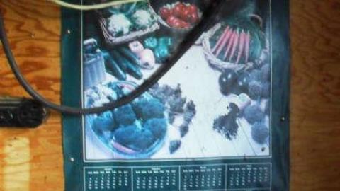 Bungalone - SAM_6332.jpg